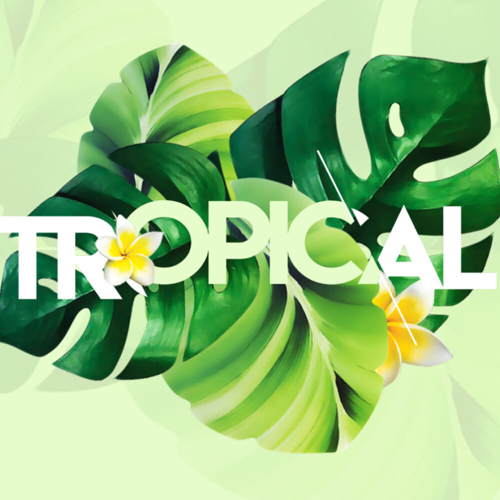 Tropical_Summer