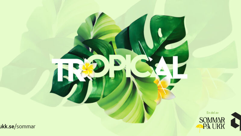 Tropical_Summer